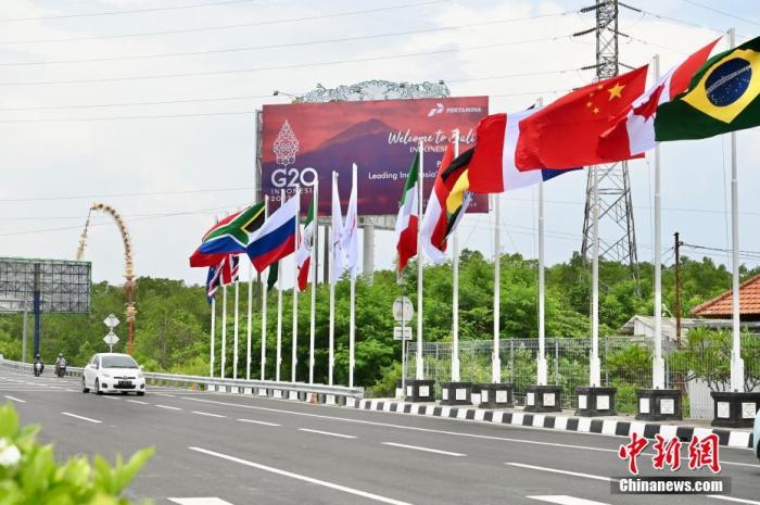 印尼巴厘島道路上G20成員國(guó)的國(guó)旗及歡迎海報(bào)。 中新社記者 李志華 攝