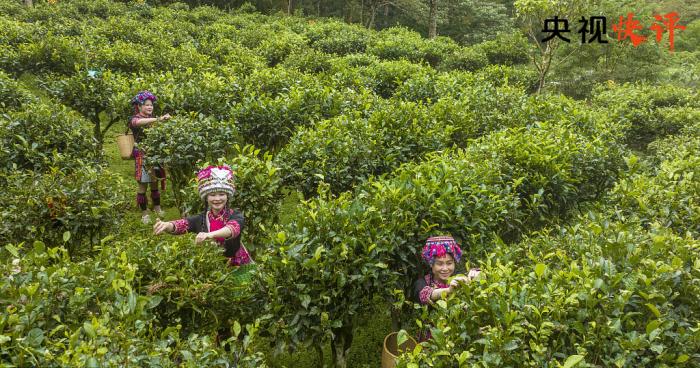 講好中華優(yōu)秀傳統(tǒng)文化故事 推動中華文化更好走向世界