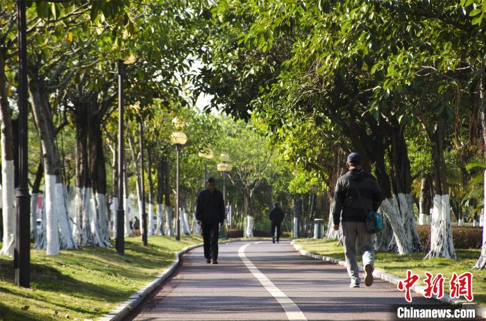 圖為市民、游客在海灣綠道散步?！〉岳顝?攝