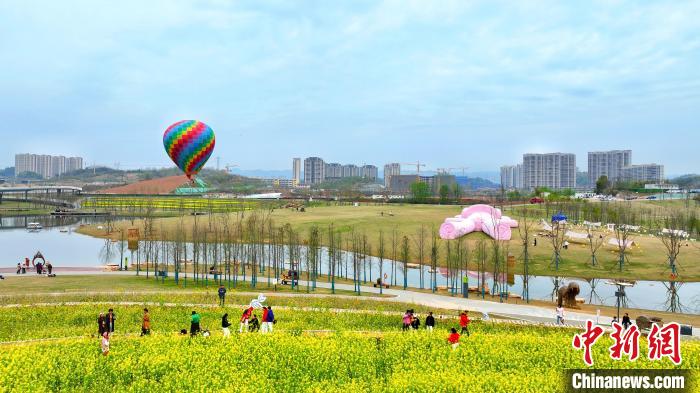 湖北宜昌卷橋河濕地公園內(nèi)，市民相伴享受都市里的田園之樂 周星亮 攝