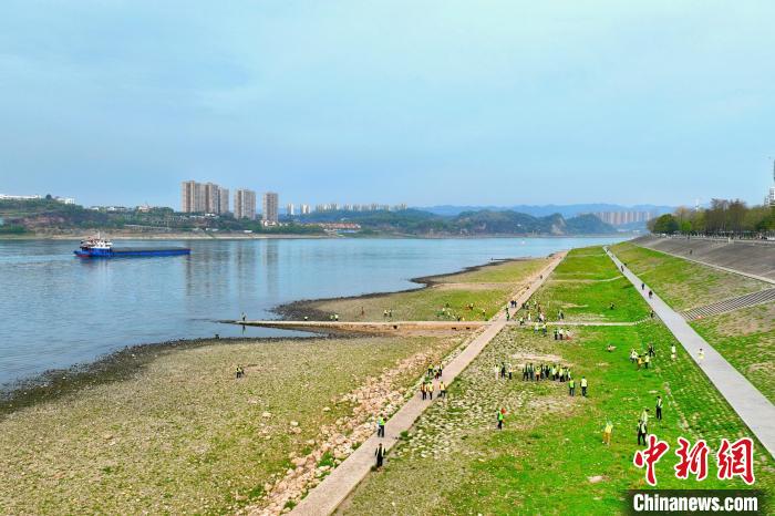 在宜昌城區(qū)長江岸畔，市民化身“護(hù)江使者”沿江而行 周星亮 攝