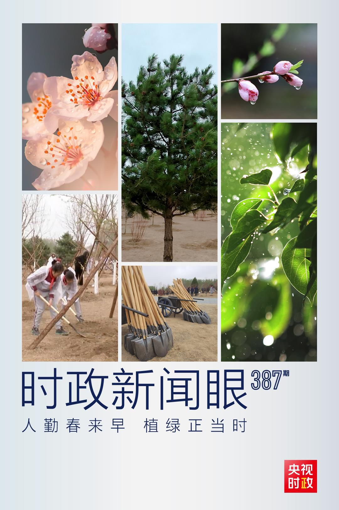 在今年首都義務(wù)植樹現(xiàn)場，習(xí)近平這三句話飽含深意